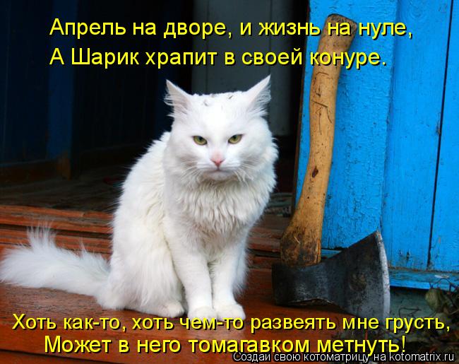 Хоть как-то, хоть чем-то развеять мне грусть, А Шарик храпит в своей конуре. Апрель на дворе, и жизнь... Котоматрица: Хоть как-то, хоть чем-то развеять мне грусть, А Шарик храпит в своей конуре. Апрель на дворе, и жизнь на нуле, Может в него томагавком метнуть!