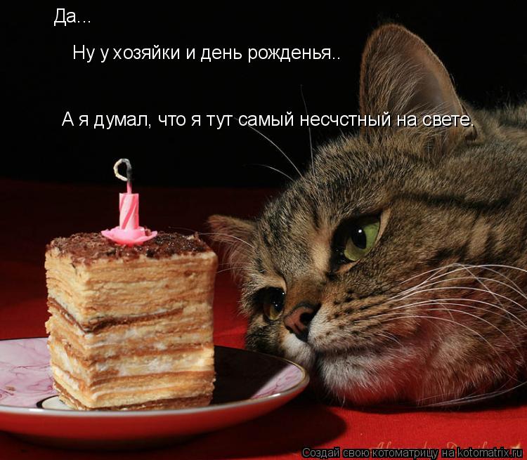 Да... Ну у хозяйки и день рожденья.. А я думал, что я тут самый несчстный на свете.... Котоматрица: Да... Ну у хозяйки и день рожденья.. А я думал, что я тут самый несчстный на свете.