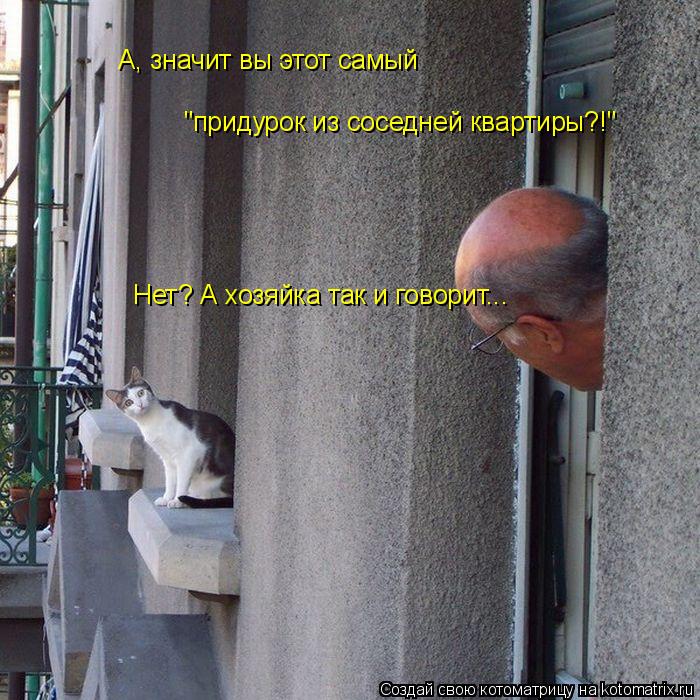 А, значит вы этот самый "придурок из соседней квартиры?!" Нет? А хозяйка так и говорит...... Котоматрица: А, значит вы этот самый "придурок из соседней квартиры?!" Нет? А хозяйка так и говорит...