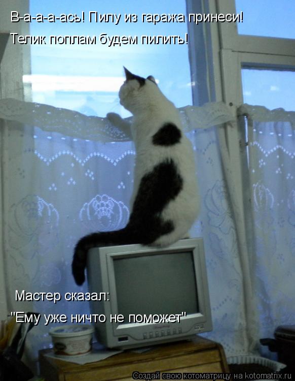 В-а-а-а-ась! Пилу из гаража принеси! Телик поплам будем пилить! Мастер сказал: "Ему уже ничто не помо... Котоматрица: В-а-а-а-ась! Пилу из гаража принеси! Телик поплам будем пилить! Мастер сказал: "Ему уже ничто не поможет"