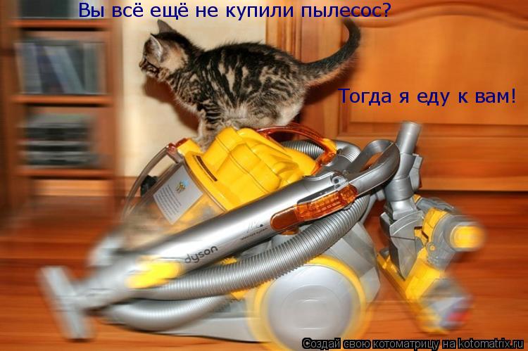 Вы всё ещё не купили пылесос? Тогда я еду к вам!... Котоматрица: Вы всё ещё не купили пылесос? Тогда я еду к вам!