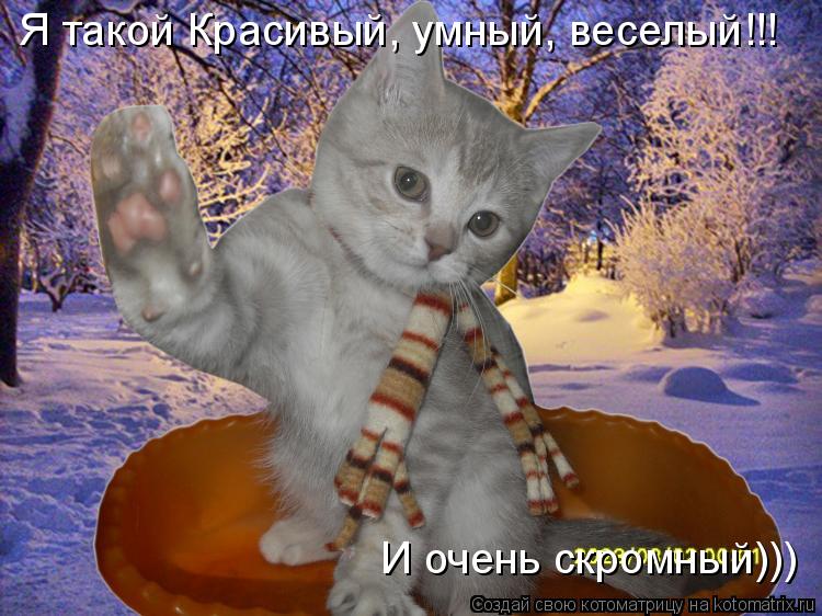 Я такой Красивый, умный, веселый!!! И очень скромный)))... Котоматрица: Я такой Красивый, умный, веселый!!! И очень скромный)))