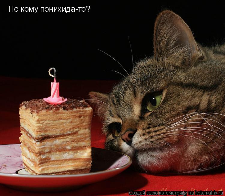 По кому понихида-то?... Котоматрица: По кому понихида-то?