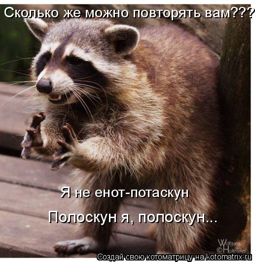 Сколько же можно повторять вам??? Я не енот-потаскун Полоскун я, полоскун...... Котоматрица: Сколько же можно повторять вам??? Я не енот-потаскун Полоскун я, полоскун...