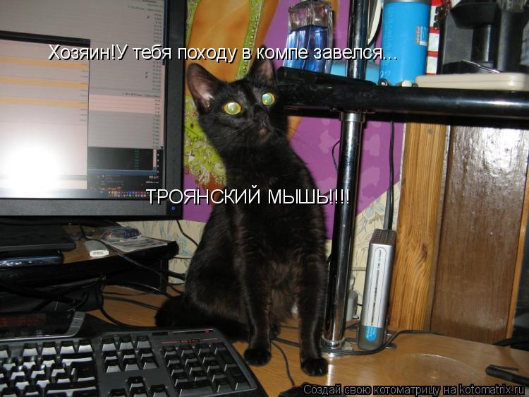 Хозяин!У тебя походу в компе завелся... ТРОЯНСКИЙ МЫШЬ!!!!... Котоматрица: Хозяин!У тебя походу в компе завелся... ТРОЯНСКИЙ МЫШЬ!!!!
