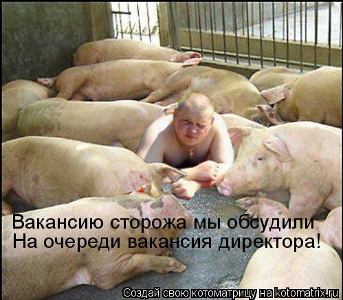Вакансию сторожа мы обсудили На очереди вакансия директора!... Котоматрица: Вакансию сторожа мы обсудили На очереди вакансия директора!