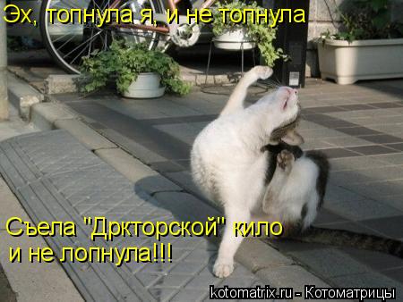 Эх, топнула я, и не топнула Съела "Дркторской" кило и не лопнула!!!... Котоматрица: Эх, топнула я, и не топнула Съела "Дркторской" кило и не лопнула!!!