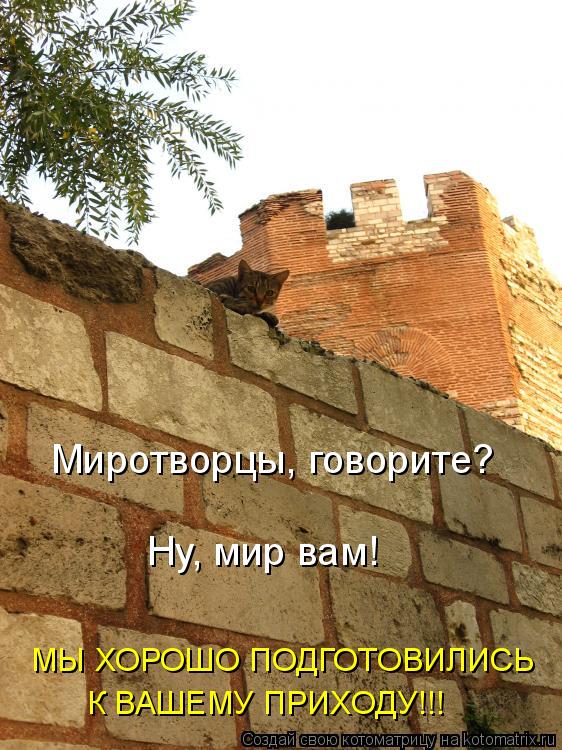 Миротворцы, говорите? Ну, мир вам! МЫ ХОРОШО ПОДГОТОВИЛИСЬ К ВАШЕМУ ПРИХОДУ!!!... Котоматрица: Миротворцы, говорите? Ну, мир вам! МЫ ХОРОШО ПОДГОТОВИЛИСЬ К ВАШЕМУ ПРИХОДУ!!!