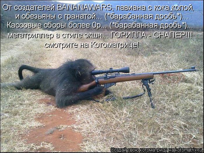 От создателей BANANAWARS, павиана с кока колой, и обезьяны с гранатой... (*барабанная дробь*)... Кас... Котоматрица: От создателей BANANAWARS, павиана с кока колой, и обезьяны с гранатой... (*барабанная дробь*)... Кассовые сборы более 0р... (*барабанная дробь*)... м
