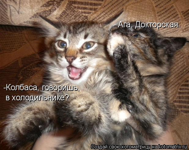 -Колбаса, говоришь, в холодильнике? - Ага. Докторская.... Котоматрица: -Колбаса, говоришь, в холодильнике? - Ага. Докторская.