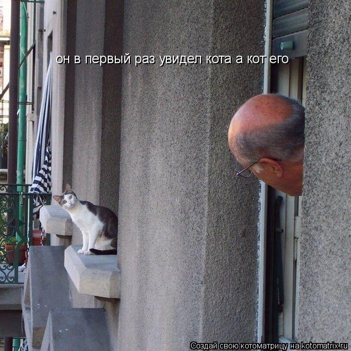 он в первый раз увидел кота а кот его... Котоматрица: он в первый раз увидел кота а кот его