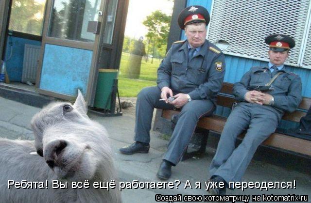 Ребята! Вы всё ещё работаете? А я уже переоделся!... Котоматрица: Ребята! Вы всё ещё работаете? А я уже переоделся!