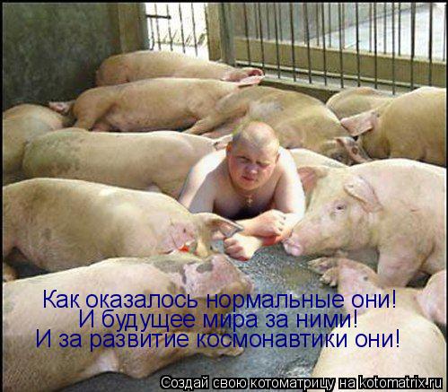 Как оказалось нормальные они! И будущее мира за ними! И за развитие космонавтики они!... Котоматрица: Как оказалось нормальные они! И будущее мира за ними! И за развитие космонавтики они!