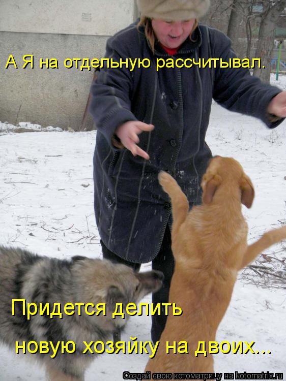 А Я на отдельную рассчитывал. Придется делить новую хозяйку на двоих...... Котоматрица: А Я на отдельную рассчитывал. Придется делить новую хозяйку на двоих...