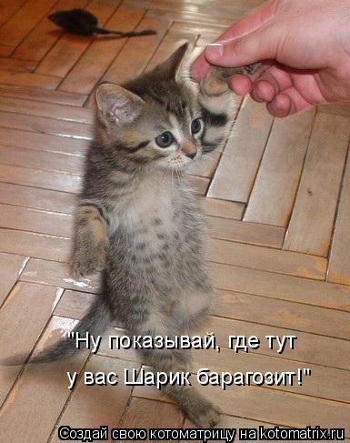 "Ну показывай, где тут у вас Шарик барагозит!"... Котоматрица: "Ну показывай, где тут у вас Шарик барагозит!"