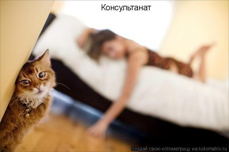 Консультанат... Котоматрица: Консультанат