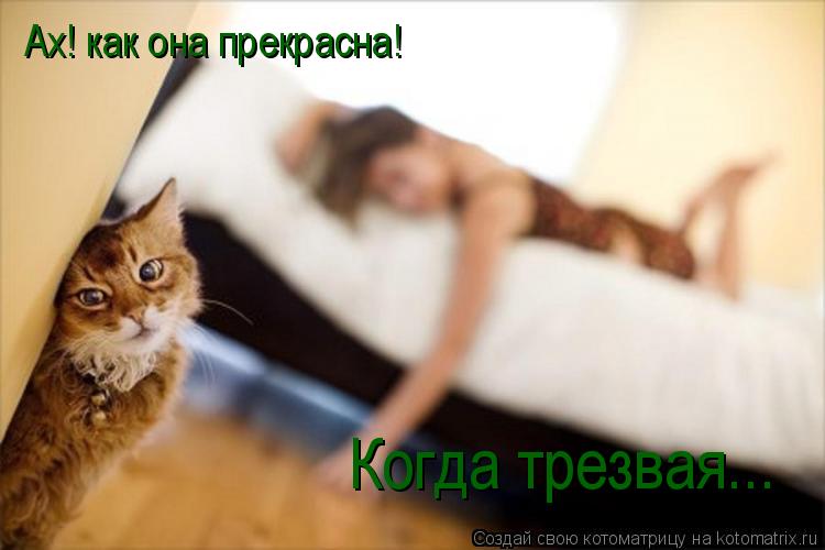 Ах! как она прекрасна! Когда трезвая...... Котоматрица: Ах! как она прекрасна! Когда трезвая...