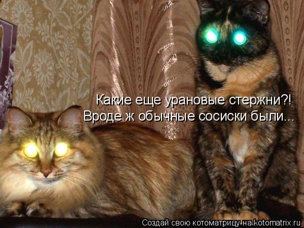 Какие еще урановые стержни?! Вроде ж обычные сосиски были...... Котоматрица: Какие еще урановые стержни?! Вроде ж обычные сосиски были...