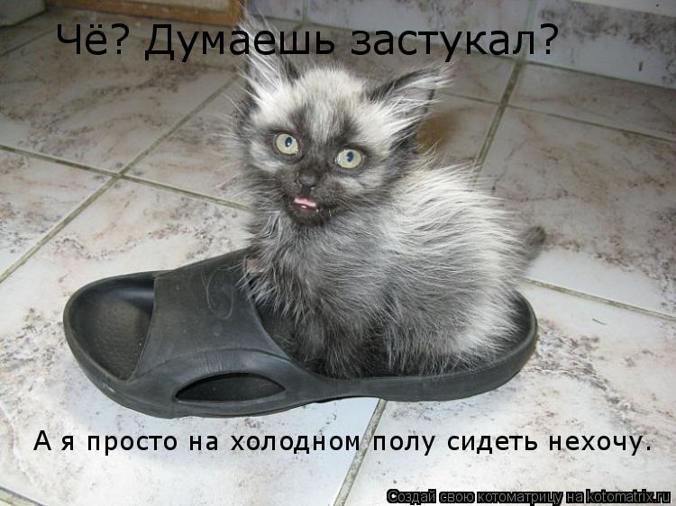 Чё? Думаешь застукал? А я просто на холодном полу сидеть нехочу.... Котоматрица: Чё? Думаешь застукал? А я просто на холодном полу сидеть нехочу.