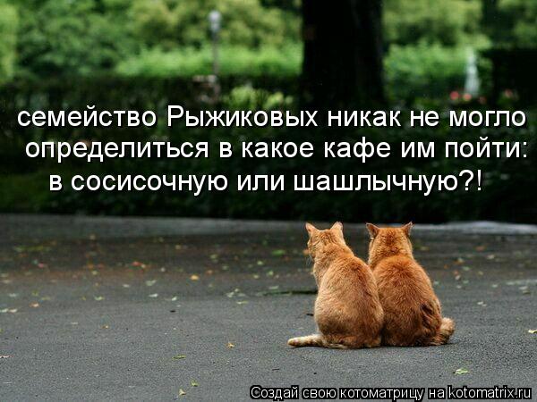 семейство Рыжиковых никак не могло в сосисочную или шашлычную?! определиться в какое кафе им пойти:... Котоматрица: семейство Рыжиковых никак не могло в сосисочную или шашлычную?! определиться в какое кафе им пойти: