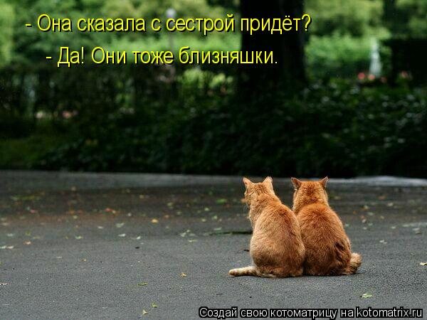 - Она сказала с сестрой придёт? - Да! Они тоже близняшки.... Котоматрица: - Она сказала с сестрой придёт? - Да! Они тоже близняшки.