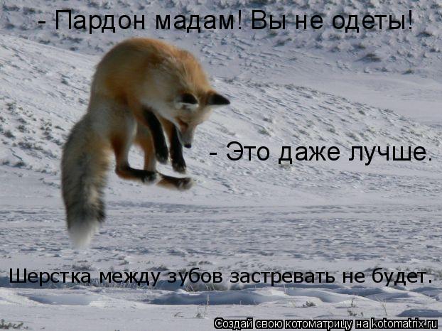 - Пардон мадам! Вы не одеты! - Это даже лучше. Шерстка между зубов застревать не будет.... Котоматрица: - Пардон мадам! Вы не одеты! - Это даже лучше. Шерстка между зубов застревать не будет.
