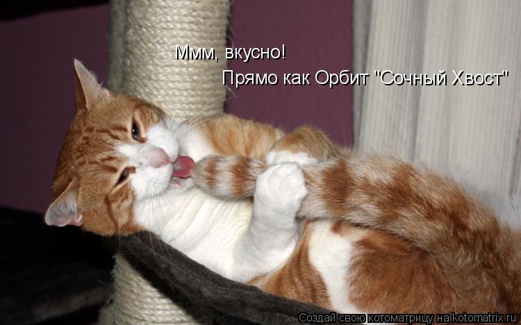 Прямо как Орбит "Сочный Хвост" Ммм, вкусно!... Котоматрица: Прямо как Орбит "Сочный Хвост" Ммм, вкусно!
