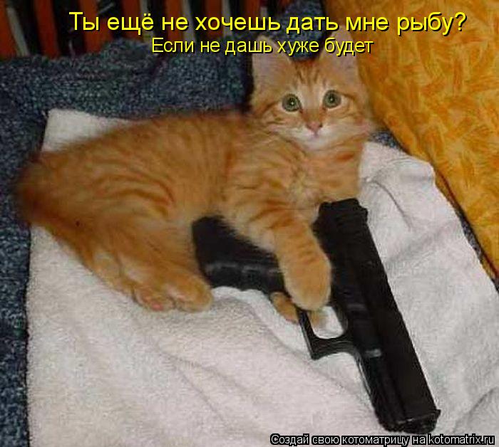 Ты ещё не хочешь дать мне рыбу? Если не дашь хуже будет... Котоматрица: Ты ещё не хочешь дать мне рыбу? Если не дашь хуже будет