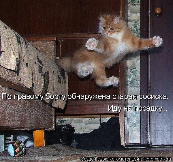 По правому борту обнаружена старая сосиска. Иду на посадку...... Котоматрица: По правому борту обнаружена старая сосиска. Иду на посадку...
