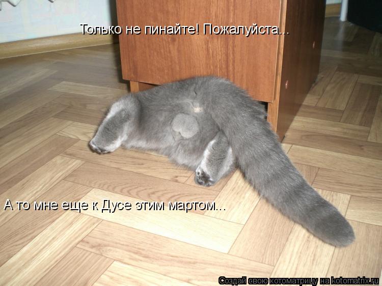 Только не пинайте! Пожалуйста... А то мне еще к Дусе этим мартом...... Котоматрица: Только не пинайте! Пожалуйста... А то мне еще к Дусе этим мартом...