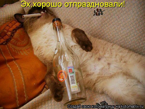 Эх,хорошо отпраздновали!... Котоматрица: Эх,хорошо отпраздновали!