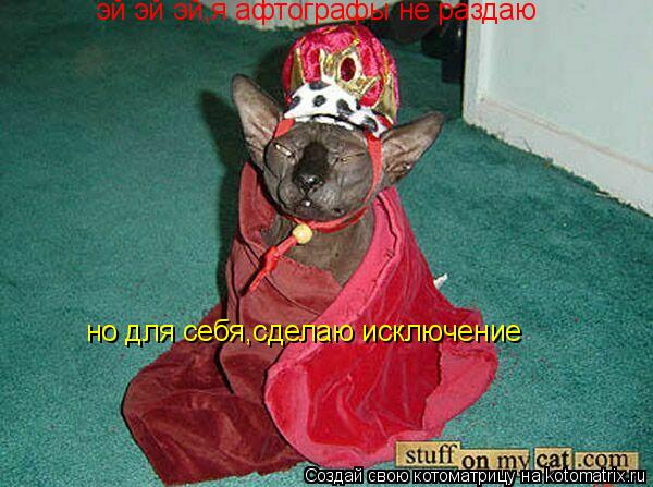 эй эй эй,я афтографы не раздаю но для себя,сделаю исключение... Котоматрица: эй эй эй,я афтографы не раздаю но для себя,сделаю исключение