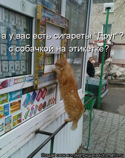 а у вас есть сигареты "Друг"? с собачкой на этикетке?... Котоматрица: а у вас есть сигареты "Друг"? с собачкой на этикетке?