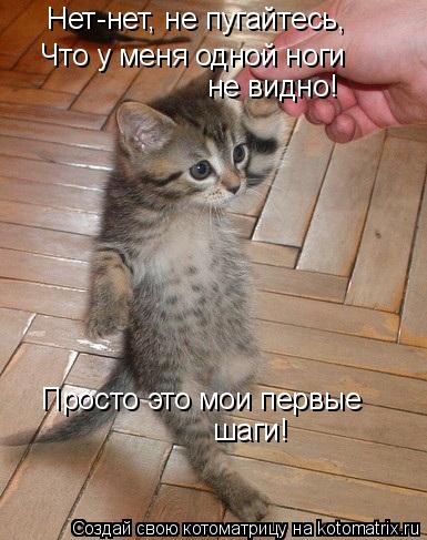 Нет-нет, не пугайтесь, Что у меня одной ноги не видно! Просто это мои первые шаги!... Котоматрица: Нет-нет, не пугайтесь, Что у меня одной ноги не видно! Просто это мои первые шаги!
