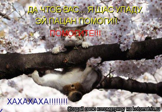 ДА ЧТОБ ВАС... Я ЩАС УПАДУ. ЭЙ ПАЦАН ПОМОГИ!! ХАХАХАХА!!!!!!!! ПОМОГИТЕ!!! ХАХАХАХА!!!!!!!!... Котоматрица: ДА ЧТОБ ВАС... Я ЩАС УПАДУ. ЭЙ ПАЦАН ПОМОГИ!! ХАХАХАХА!!!!!!!! ПОМОГИТЕ!!! ХАХАХАХА!!!!!!!!