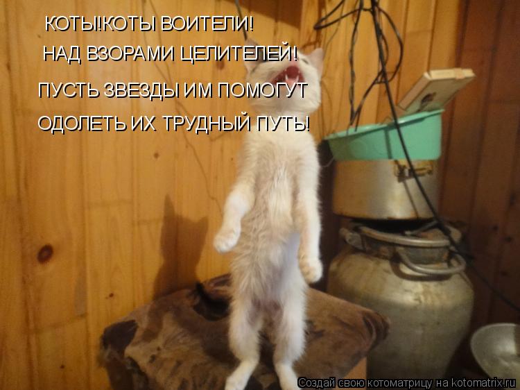 КОТЫ!КОТЫ ВОИТЕЛИ! НАД ВЗОРАМИ ЦЕЛИТЕЛЕЙ! ПУСТЬ ЗВЕЗДЫ ИМ ПОМОГУТ ОДОЛЕТЬ ИХ ТРУДНЫЙ ПУТЬ!... Котоматрица: КОТЫ!КОТЫ ВОИТЕЛИ! НАД ВЗОРАМИ ЦЕЛИТЕЛЕЙ! ПУСТЬ ЗВЕЗДЫ ИМ ПОМОГУТ ОДОЛЕТЬ ИХ ТРУДНЫЙ ПУТЬ!