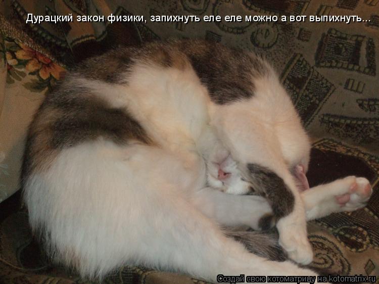 Дурацкий закон физики, запихнуть еле еле можно а вот выпихнуть...... Котоматрица: Дурацкий закон физики, запихнуть еле еле можно а вот выпихнуть...