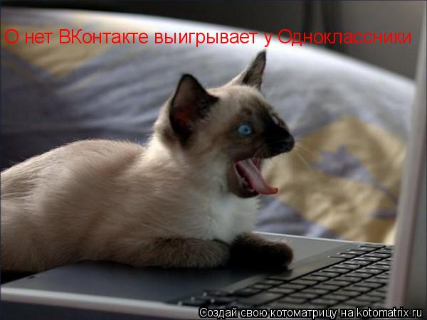 О нет ВКонтакте выигрывает у Одноклассники... Котоматрица: О нет ВКонтакте выигрывает у Одноклассники