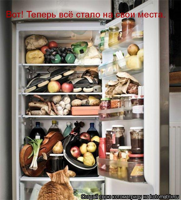 Вот! Теперь всё стало на свои места.... Котоматрица: Вот! Теперь всё стало на свои места.