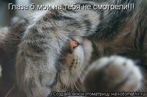 Глаза б мои на тебя не смотрели!!!... Котоматрица: Глаза б мои на тебя не смотрели!!!