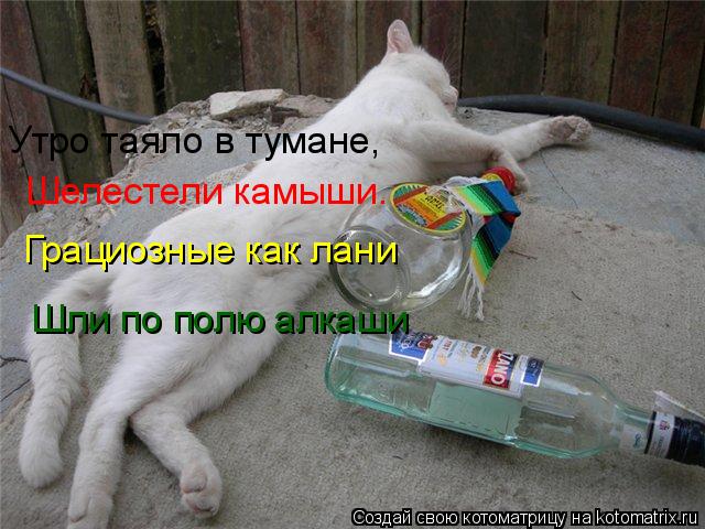 Утро таяло в тумане, Шелестели камыши. Грациозные как лани Шли по полю алкаши... Котоматрица: Утро таяло в тумане, Шелестели камыши. Грациозные как лани Шли по полю алкаши
