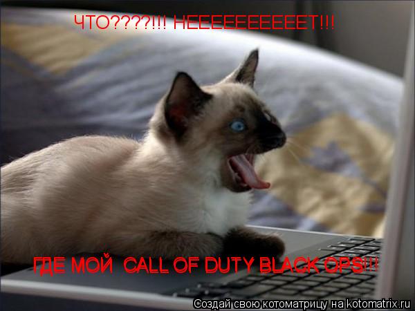 ЧТО????!!! НЕЕЕЕЕЕЕЕЕЕТ!!! ГДЕ МОЙ CALL OF DUTY BLACK OPS ГДЕ МОЙ CALL OF DUTY BLACK OPS!!!... Котоматрица: ЧТО????!!! НЕЕЕЕЕЕЕЕЕЕТ!!! ГДЕ МОЙ CALL OF DUTY BLACK OPS ГДЕ МОЙ CALL OF DUTY BLACK OPS!!!