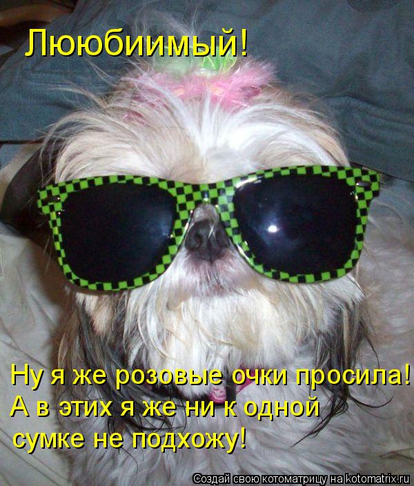 Лююбиимый! Ну я же розовые очки просила! А в этих я же ни к одной сумке не подхожу!... Котоматрица: Лююбиимый! Ну я же розовые очки просила! А в этих я же ни к одной сумке не подхожу!