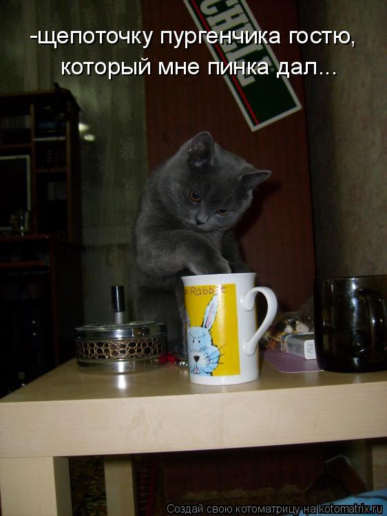 -щепоточку пургенчика гостю, который мне пинка дал...... Котоматрица: -щепоточку пургенчика гостю, который мне пинка дал...