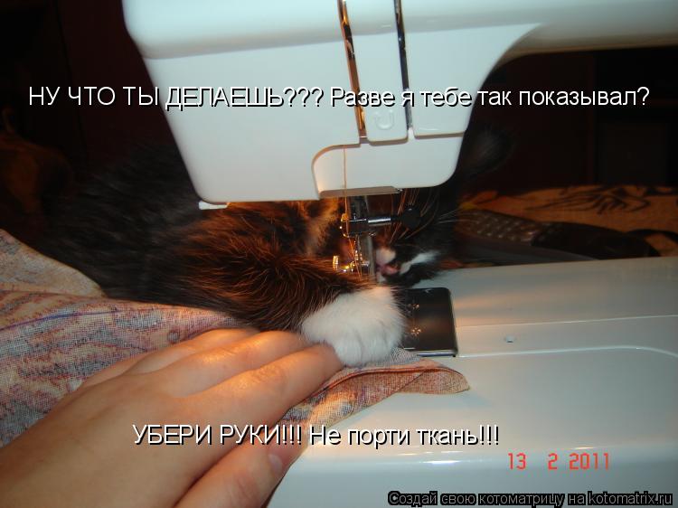 НУ ЧТО ТЫ ДЕЛАЕШЬ??? Разве я тебе так показывал? УБЕРИ РУКИ!!! Не порти ткань!!!... Котоматрица: НУ ЧТО ТЫ ДЕЛАЕШЬ??? Разве я тебе так показывал? УБЕРИ РУКИ!!! Не порти ткань!!!