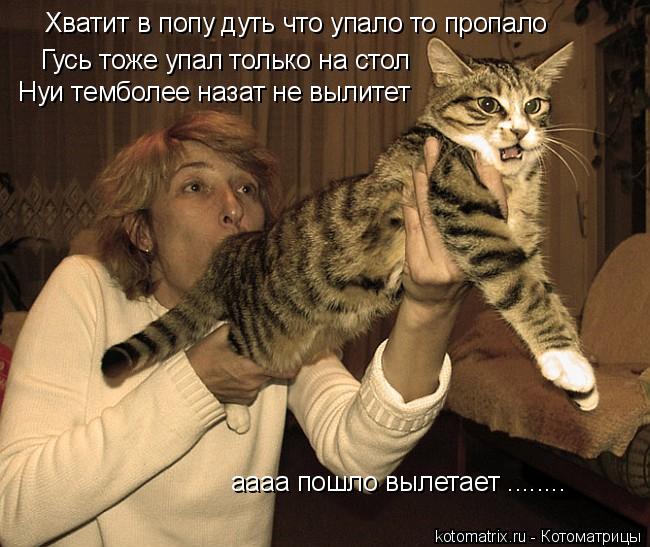Хватит в попу дуть что упало то пропало Гусь тоже упал только на стол Нуи темболее назат не вылитет... Котоматрица: Хватит в попу дуть что упало то пропало Гусь тоже упал только на стол Нуи темболее назат не вылитет аааа пошло вылетает ........