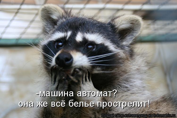 -машина автомат? она же всё белье прострелит!... Котоматрица: -машина автомат? она же всё белье прострелит!