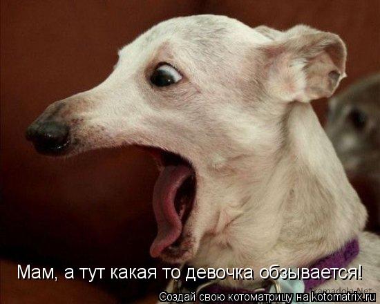 Мам, а тут какая то девочка обзывается!... Котоматрица: Мам, а тут какая то девочка обзывается!