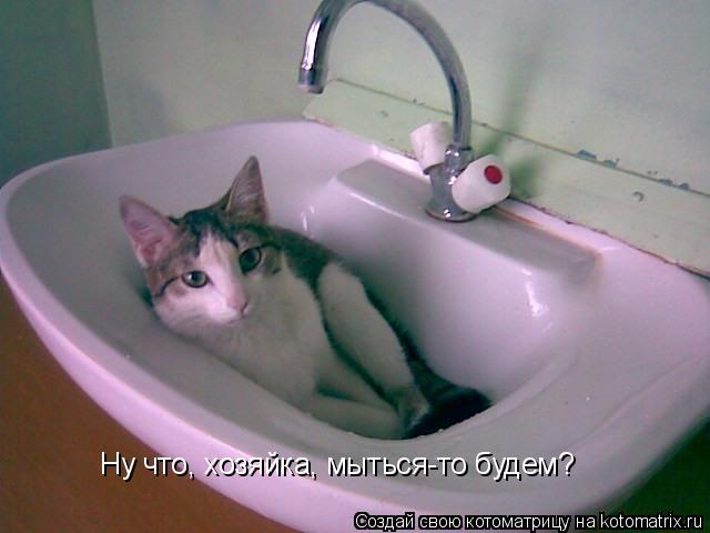 Ну что, хозяйка, мыться-то будем?... Котоматрица: Ну что, хозяйка, мыться-то будем?