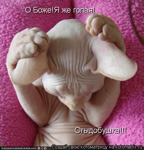 О Боже!Я же голая! Стыдобушка!!!... Котоматрица: О Боже!Я же голая! Стыдобушка!!!